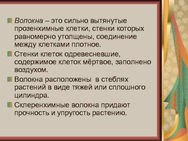 Волокна – это сильно вытянутые прозенхимные клетки, стенки которых равномерно утолщены, соединение между клетками
