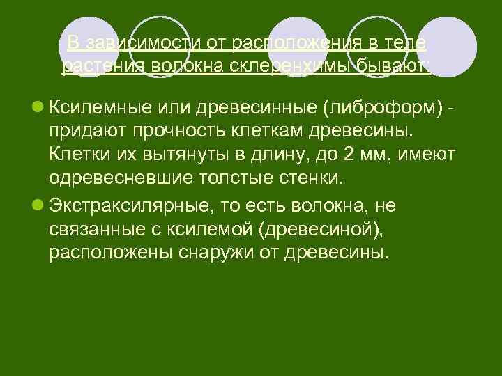 В зависимости от расположения в теле растения волокна склеренхимы бывают: l Ксилемные или древесинные