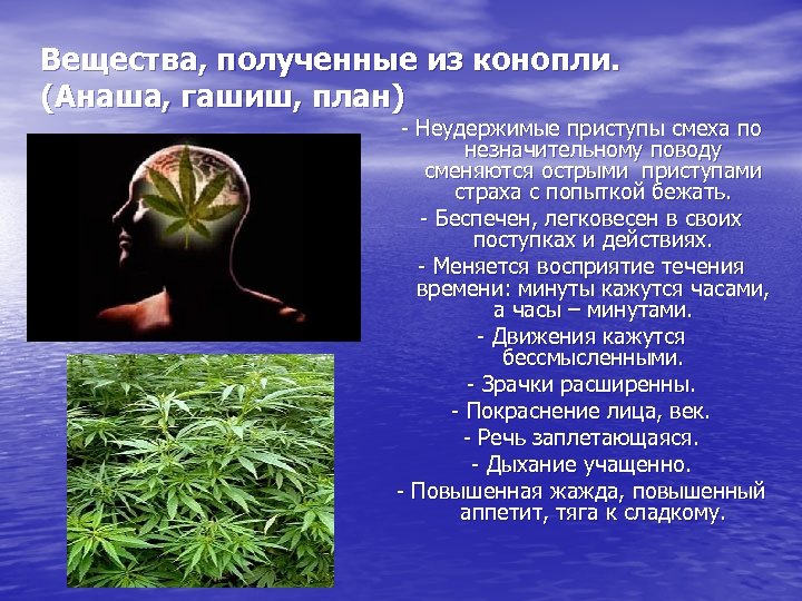 Вещества, полученные из конопли. (Анаша, гашиш, план) - Неудержимые приступы смеха по незначительному поводу
