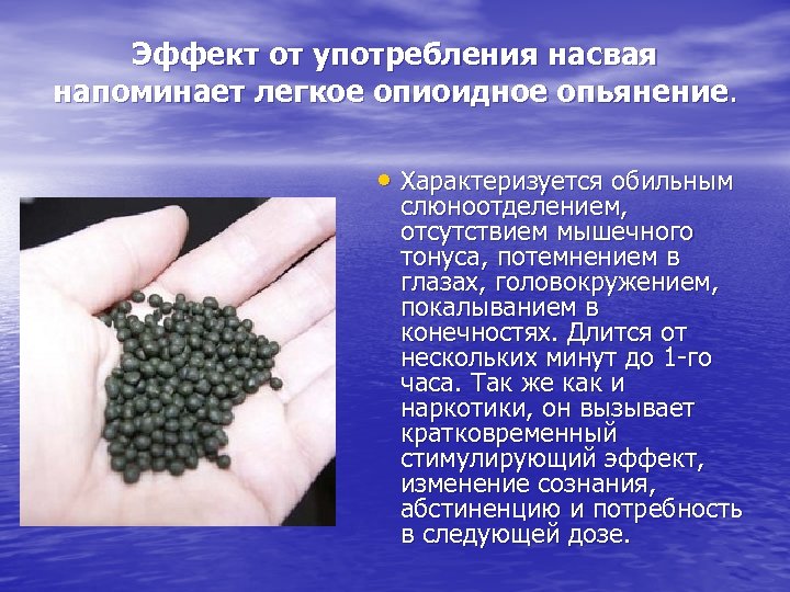 Эффект от употребления насвая напоминает легкое опиоидное опьянение. • Характеризуется обильным слюноотделением, отсутствием мышечного