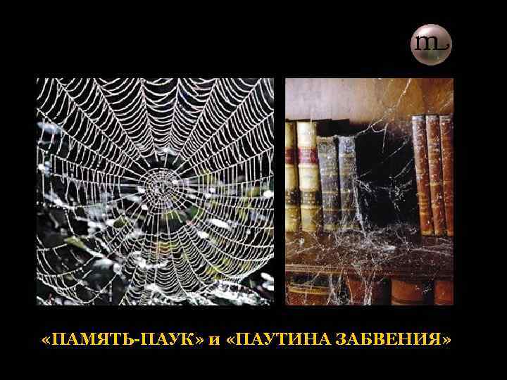  «ПАМЯТЬ-ПАУК» и «ПАУТИНА ЗАБВЕНИЯ» 