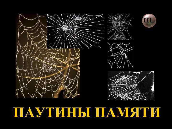 ПАУТИНЫ ПАМЯТИ 