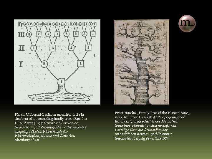 Pierer, Universal-Lexikon: Ancestral table in the form of an ascending family tree, 1840. In: