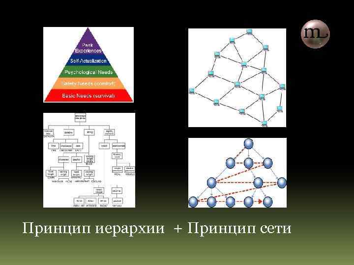 Принцип иерархии + Принцип сети 