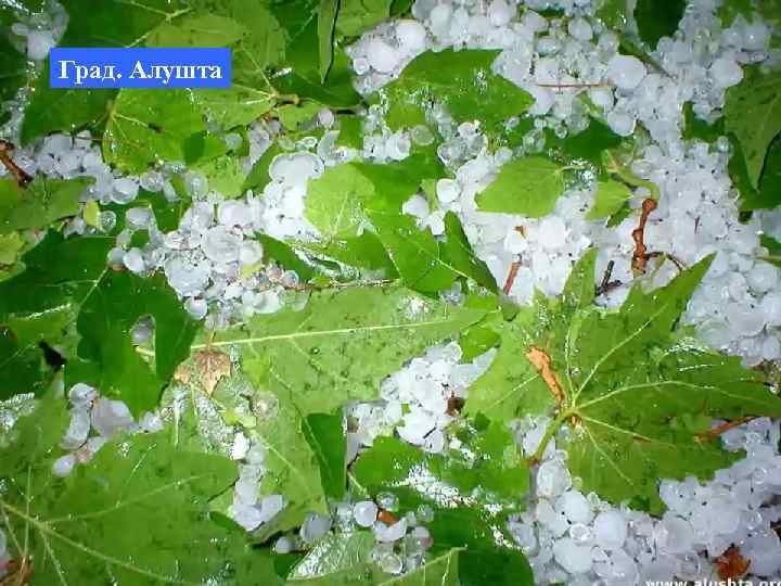 Град. Алушта 
