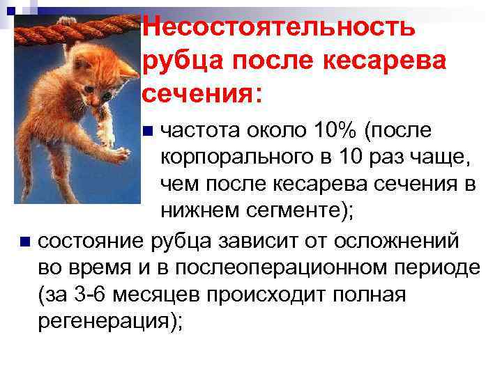Несостоятельность рубца после кесарева сечения: частота около 10% (после корпорального в 10 раз чаще,