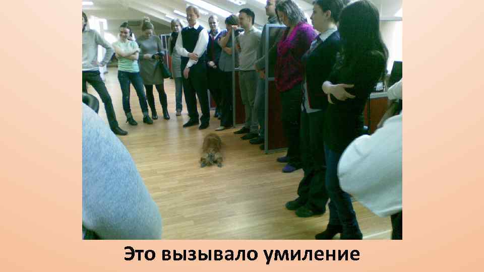 Это вызывало умиление 