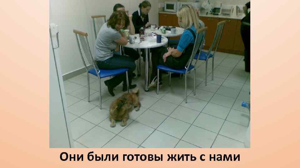 Они были готовы жить с нами 