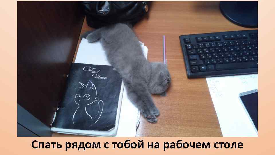 Спать рядом с тобой на рабочем столе 