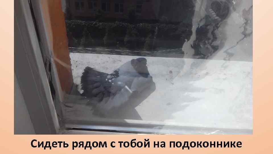 Сидеть рядом с тобой на подоконнике 