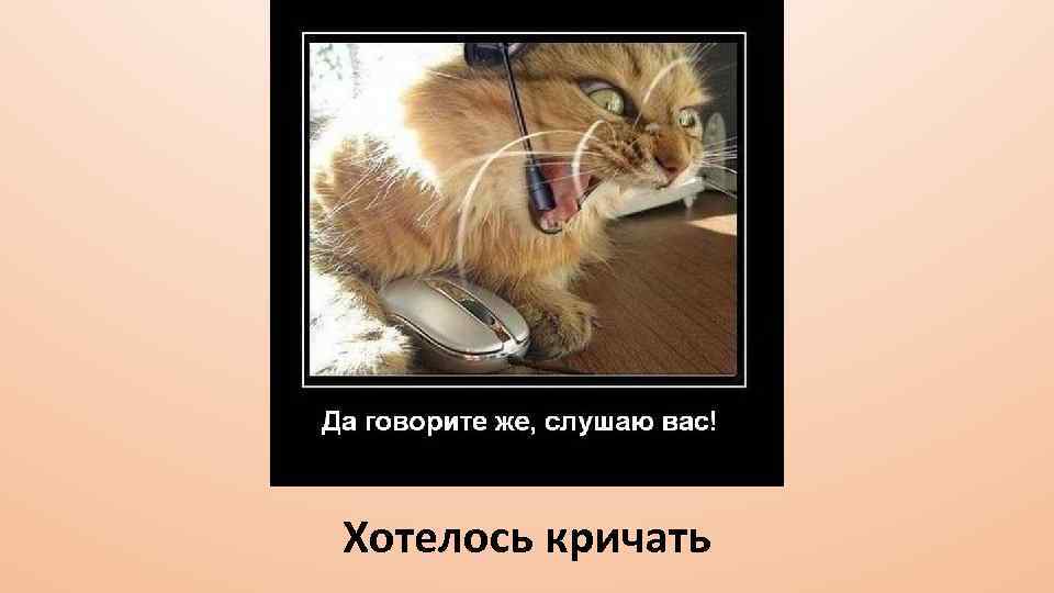 Хотелось кричать 