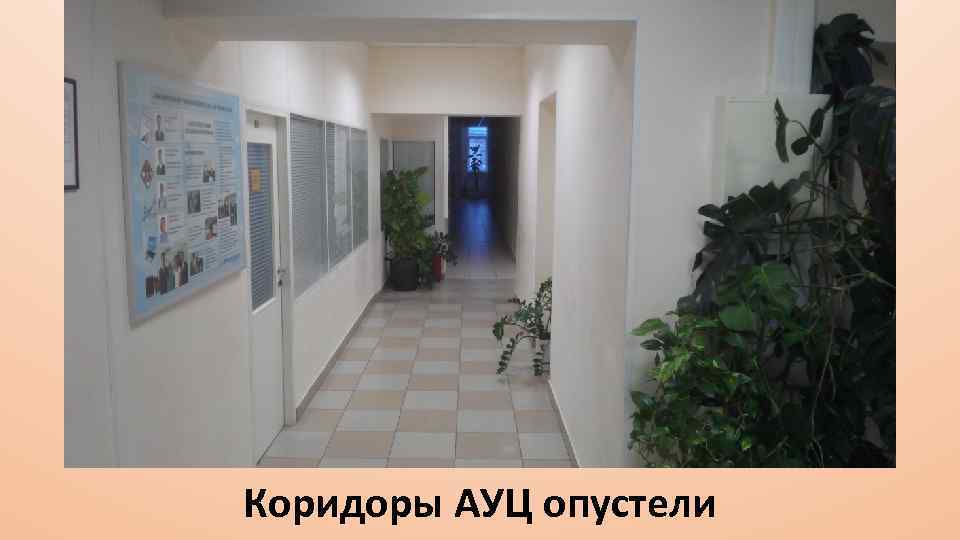 Коридоры АУЦ опустели 