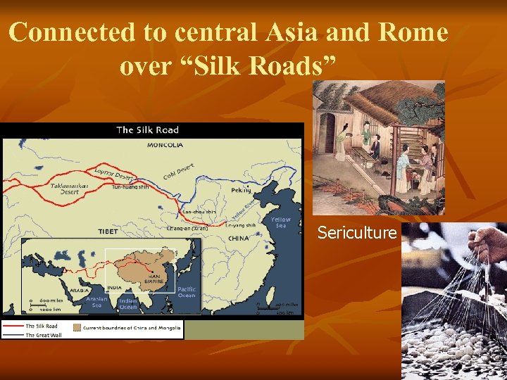 Connected to central Asia and Rome over “Silk Roads” Sericulture 