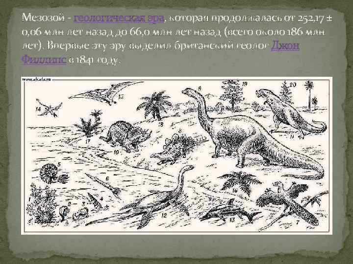 Расцвет рептилий в мезозое и возможные причины исчезновения динозавров презентация