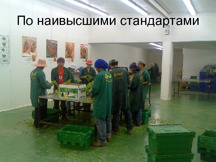 По наивысшими стандартами 