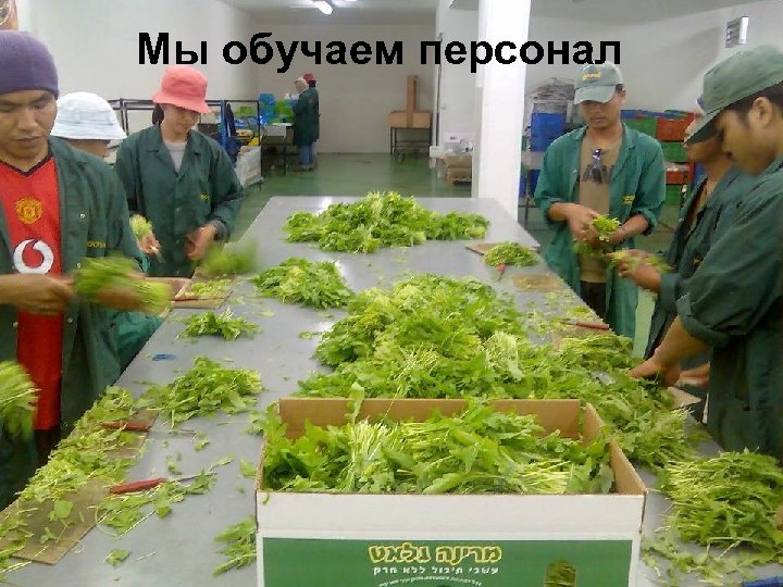 Мы обучаем персонал 