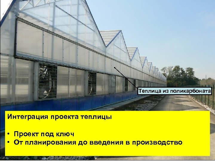 Теплица из поликарбоната Интеграция проекта теплицы • Проект под ключ • От планирования до
