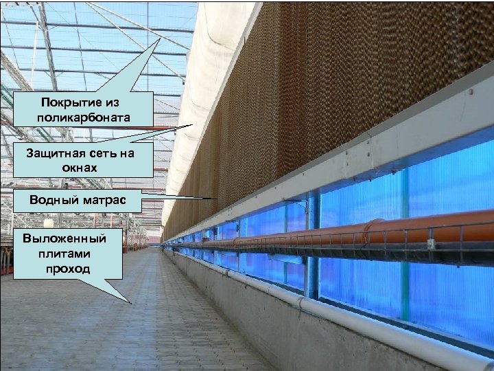 Покрытие из поликарбоната Защитная сеть на окнах Водный матрас Выложенный плитами проход 
