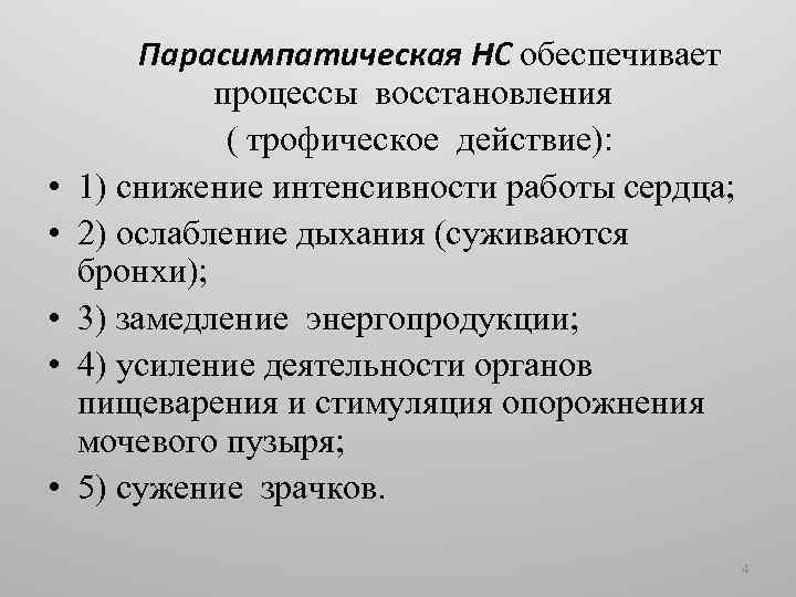  • • • Парасимпатическая НС обеспечивает процессы восстановления ( трофическое действие): 1) снижение