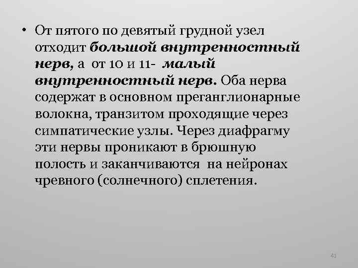  • От пятого по девятый грудной узел отходит большой внутренностный нерв, а от