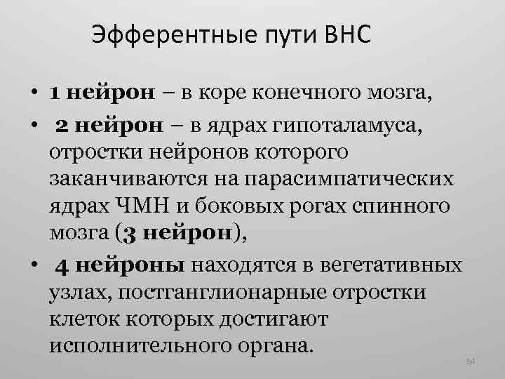 Эфферентные пути ВНС • 1 нейрон – в коре конечного мозга, • 2 нейрон