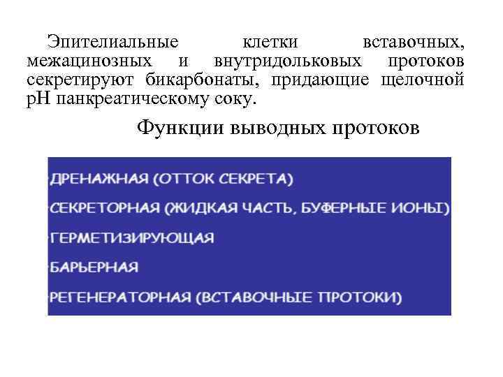 Эпителиальные клетки вставочных, межацинозных и внутридольковых протоков секретируют бикарбонаты, придающие щелочной р. Н панкреатическому