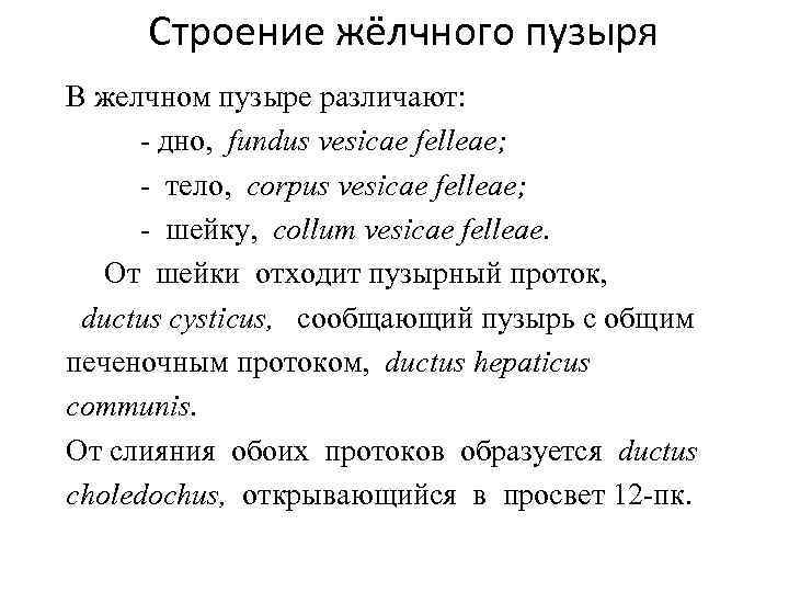 Строение жёлчного пузыря В желчном пузыре различают: - дно, fundus vesicae felleae; - тело,