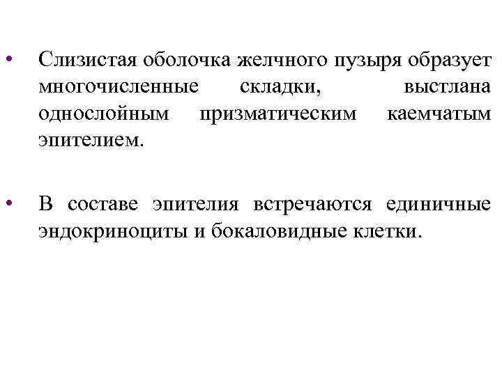  • Слизистая оболочка желчного пузыря образует многочисленные складки, выстлана однослойным призматическим каемчатым эпителием.