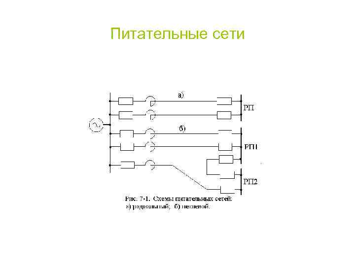 Питательные сети 
