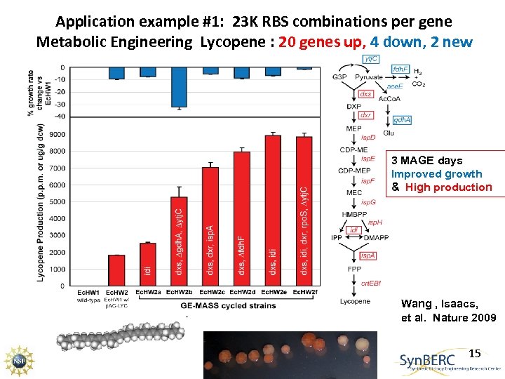 Application example #1: 23 K RBS combinations per gene Metabolic Engineering Lycopene : 20