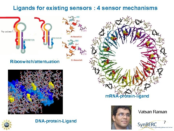 Ligands for existing sensors : 4 sensor mechanisms Riboswitch/attentuation m. RNA-protein-ligand Vatsan Raman DNA-protein-Ligand