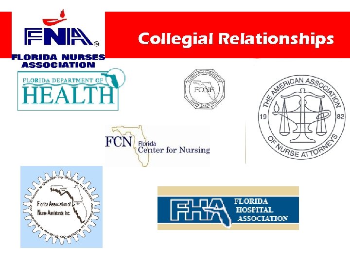 Collegial Relationships 