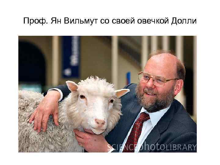 Проф. Ян Вильмут со своей овечкой Долли 