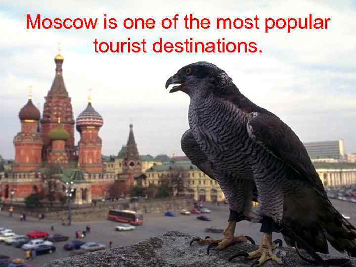 Moscow is one of the most popular tourist destinations. 