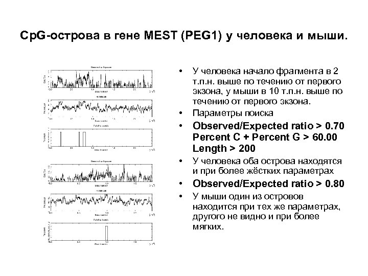 Cp. G-острова в гене MEST (PEG 1) у человека и мыши. • • У