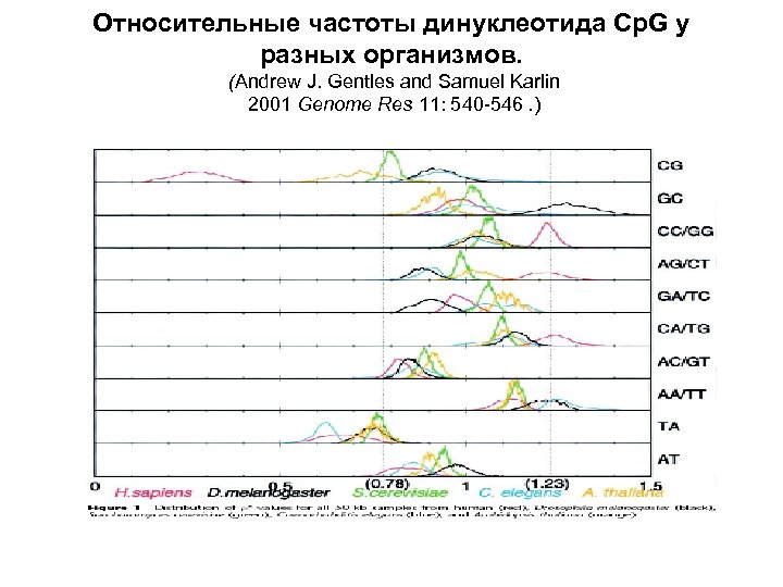 Относительные частоты динуклеотида Cp. G у разных организмов. (Andrew J. Gentles and Samuel Karlin