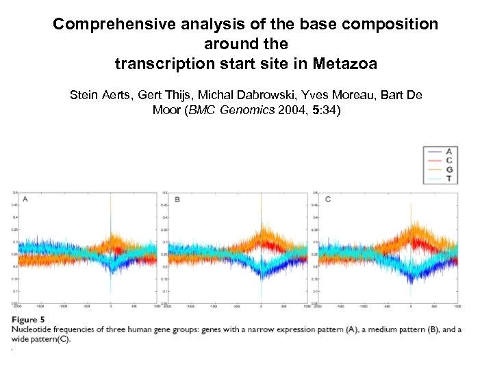 Comprehensive analysis of the base composition around the transcription start site in Metazoa Stein