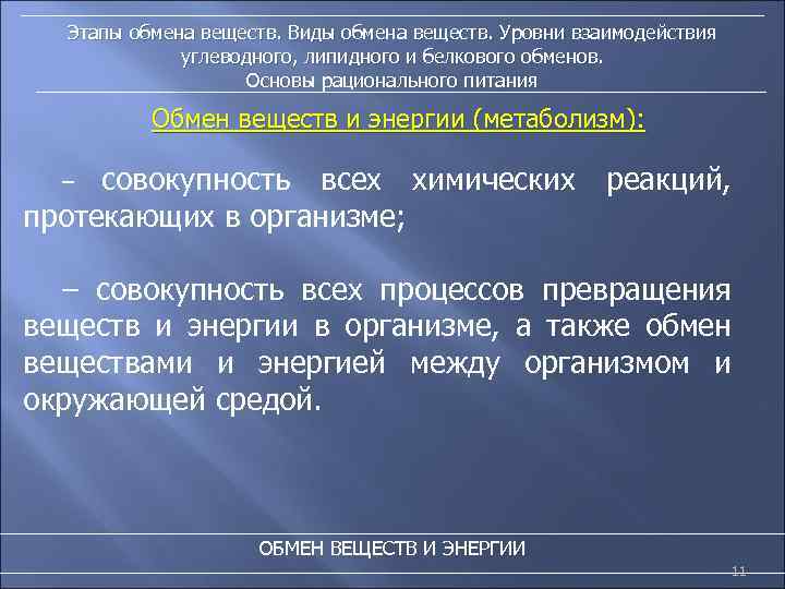 Этапы обмена веществ. Виды обмена веществ. Уровни взаимодействия углеводного, липидного и белкового обменов. Основы