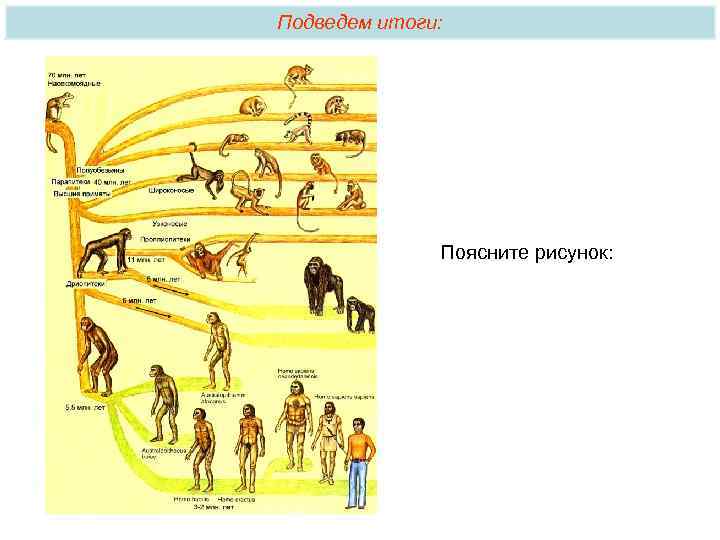 Подведем итоги: Поясните рисунок: 