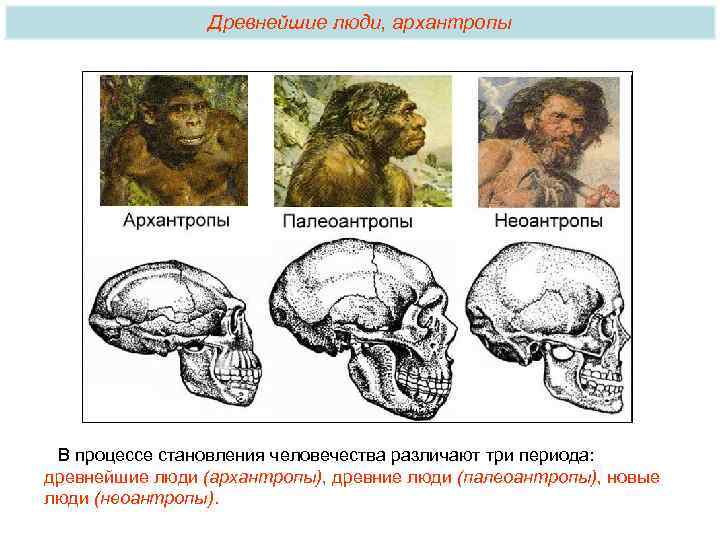 Древнейшие люди, архантропы В процессе становления человечества различают три периода: древнейшие люди (архантропы), древние