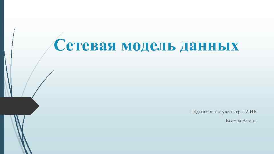 Сетевая модель данных Подготовил студент гр. 12 -ИБ Котова Алина 