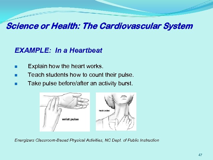 Science or Health: The Cardiovascular System EXAMPLE: In a Heartbeat n n n Explain