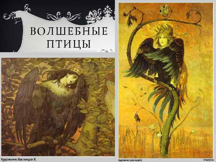 ВОЛШЕБНЫЕ ПТИЦЫ 