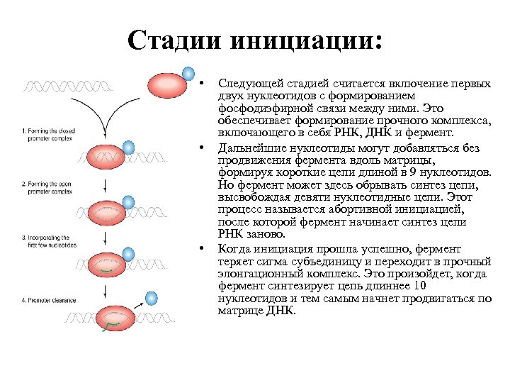 Средства инициации