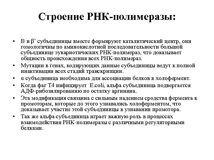 Строение РНК-полимеразы: • Β и β’ субъединицы вместе формируют каталитический центр, они гомологичны по