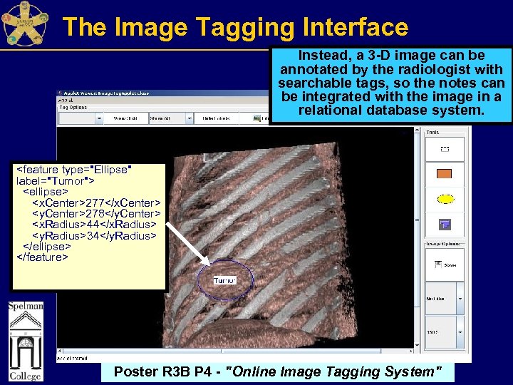 The Image Tagging Interface Instead, a 3 -D image can be annotated by the