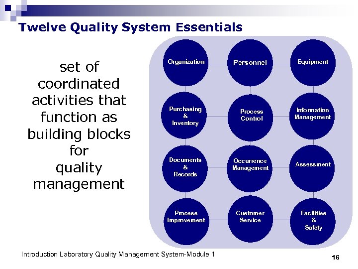 Twelve Quality System Essentials set of coordinated activities that function as building blocks for