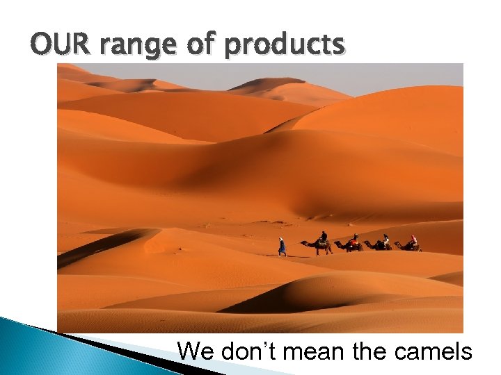OUR range of products We don’t mean the camels 