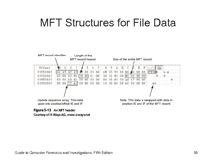 MFT Structures for File Data Guide to Computer Forensics and Investigations, Fifth Edition 55