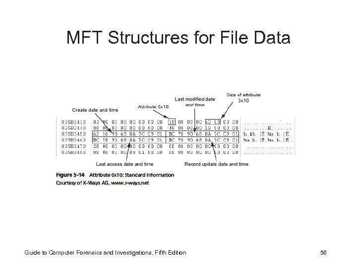 MFT Structures for File Data Guide to Computer Forensics and Investigations, Fifth Edition 56